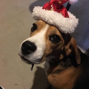 Meet your Posher, Wayne